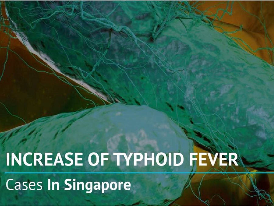 What are The Different Types of Typhoid? Reszonics