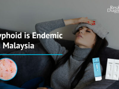 Typhoid is Endemic in Malaysia