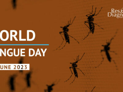 World Dengue Day 2023