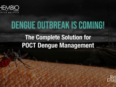 Dengue outbreak is coming!